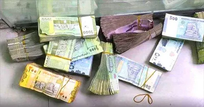 اخبار اليمن الان مدوية الكشف الصرف التاريخي تفاصيل اخبار اليمن الان الحدث اليوم عاجل