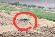مقتل مسنة بظروف غامضة في عمران