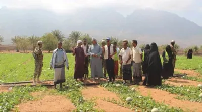 اخبار اليمن الان محافظ المرأة الريفية والأمن الغذائي اخبار اليمن الان الحدث اليوم عاجل