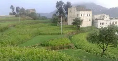 اخبار اليمن الان الحدث اليوم عاجل 