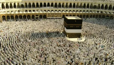 اخبار اليمن الان المتحدة اعتقال السعودية يمنيين العمرة اخبار اليمن الان الحدث اليوم عاجل