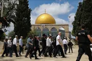 اخبار اليمن الان الحدث اليوم عاجل وكالة الصحافة اليمنية
