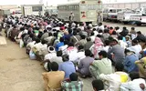 وكالة الصحافة اليمنية اخبار اليمن الان قرار سعودي شريحة واسعة اليمنيين اخبار اليمن الان الحدث اليوم عاجل وكالة الصحافة اليمنية