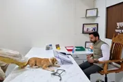 صحيفة المرصد اخبار اليمن الان اطلاق كلاب مسؤول احتجاجي مألوف اخبار اليمن الان الحدث اليوم عاجل صحيفة المرصد