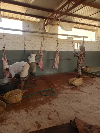 اخبار اليمن الان الحدث اليوم عاجل 