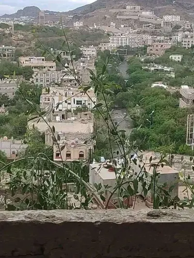 اخبار اليمن الان الحدث اليوم عاجل 