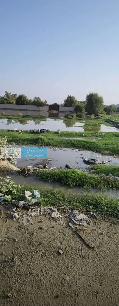 اخبار اليمن الان مستنقعات الصرف السكان والكوليرا الأبواب اخبار اليمن الان الحدث اليوم عاجل