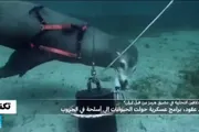 اخبار اليمن الان الحدث اليوم عاجل فرانس 24