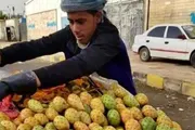 عدن تايم اخبار اليمن الان التين الشوكي اليمن الفقراء الذهبية اخبار اليمن الان الحدث اليوم عاجل عدن تايم
