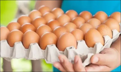 اخبار اليمن الان الأربعاء استقرار وتحركات محدودة البورصات اخبار اليمن الان الحدث اليوم عاجل