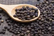 عدن تايم اخبار اليمن الان امتصاص العناصر الغذائية فوائد الفلفل اخبار اليمن الان الحدث اليوم عاجل عدن تايم