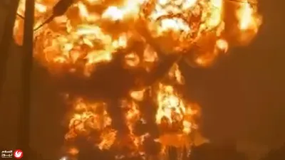 اخبار اليمن الان العرش الياباني مستقبل وراثية العالم اخبار اليمن الان الحدث اليوم عاجل