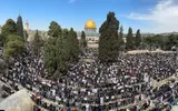 صحيفة الثورة صنعاء اخبار اليمن الان عدد80 فلسطيني يؤدون الجمعة الأقصى اخبار اليمن الان الحدث اليوم عاجل صحيفة الثورة صنعاء