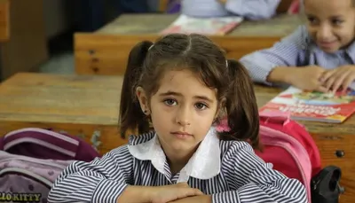 اخبار اليمن الان عدد540 فلسطيني التمويل والحرب الأونروا اخبار اليمن الان الحدث اليوم عاجل