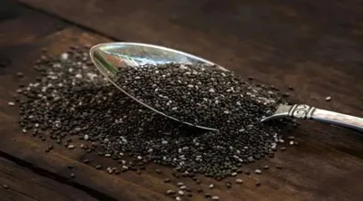 اخبار اليمن الان دراسة الشيا مفيدة للقلب والكوليسترول اخبار اليمن الان الحدث اليوم عاجل
