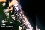 اخبار اليمن الان الحدث اليوم عاجل كريتر إسكاي