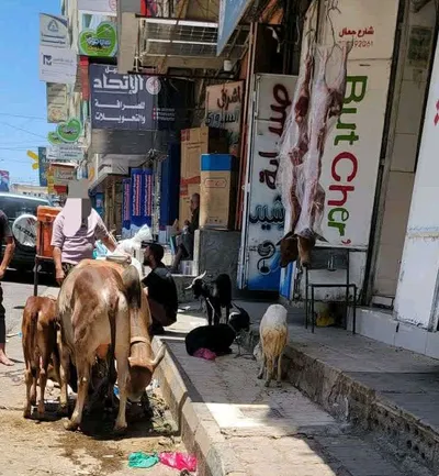 اخبار اليمن الان الحدث اليوم عاجل 