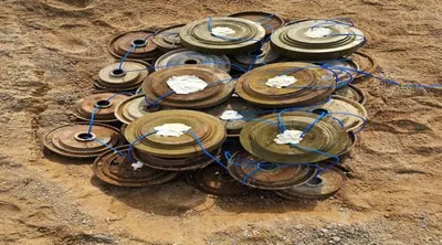 اخبار اليمن الان مسام يتلف ذخيرة منفجرة المندب اخبار اليمن الان الحدث اليوم عاجل