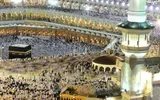 وكالة خبر اخبار اليمن الان الأوقاف اليمنية تعميما الشركات المعتمدة اخبار اليمن الان الحدث اليوم عاجل وكالة خبر