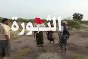 صحيفة الثورة صنعاء اخبار اليمن الان الحديدة مزارعي النخيل الفقيه الزراعي اخبار اليمن الان الحدث اليوم عاجل صحيفة الثورة صنعاء