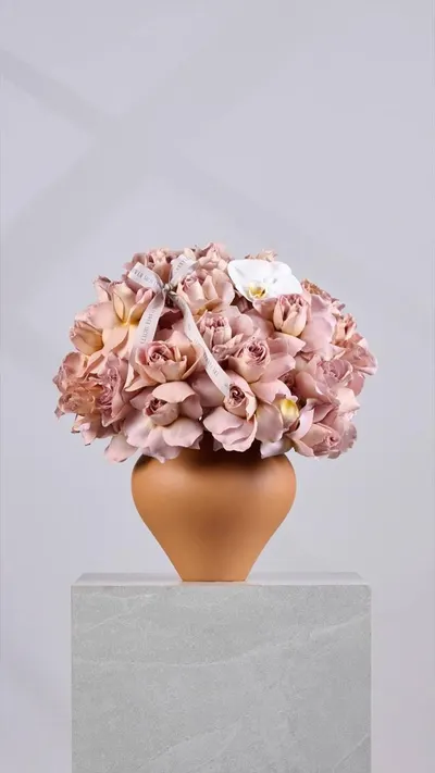 اخبار اليمن الان flower society تستقبل الخريف مستوحاة اخبار اليمن الان الحدث اليوم عاجل