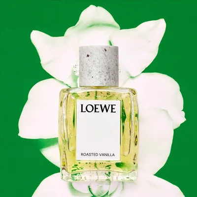 اخبار اليمن الان تجربة استثنائية crafted collection الجديدة اخبار اليمن الان الحدث اليوم عاجل