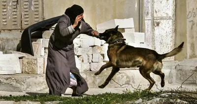 اخبار اليمن الان الحدث اليوم عاجل وكالة الصحافة اليمنية