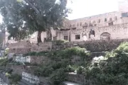 اخبار اليمن الان الحدث اليوم عاجل صدى الساحل