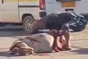 صدى الساحل اخبار اليمن الان استشهاد الحزام الأمني اغتيال مديرية اخبار اليمن الان الحدث اليوم عاجل صدى الساحل