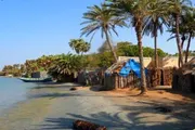 اخبار اليمن الان الحدث اليوم عاجل صدى الساحل
