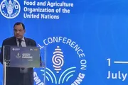 سبأ نيوز اخبار اليمن الان السقطري مستديرة الحوكمة الزراعة والمستدامة اخبار اليمن الان الحدث اليوم عاجل سبأ نيوز