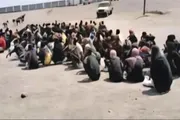عرب تايم اخبار اليمن الان اخبار وتقارير جديدة المهاجرين النظاميين اخبار اليمن الان الحدث اليوم عاجل عرب تايم