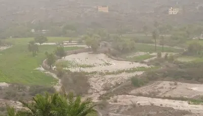 اخبار اليمن الان الحدث اليوم عاجل 