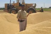 اخبار اليمن الان الحدث اليوم عاجل وكالة الصحافة اليمنية