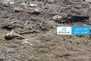 اخبار اليمن الان الحدث اليوم عاجل كريتر إسكاي