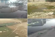 صحيفة المرصد اخبار اليمن الان مناشدة دارسعد المجاري أطفالنا فأنقذونا اخبار اليمن الان الحدث اليوم عاجل صحيفة المرصد