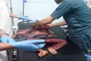 اخبار اليمن الان الحدث اليوم عاجل عرب تايم