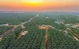 عدن تايم اخبار اليمن الان واحات حافتي صحراء الربع الخالي اخبار اليمن الان الحدث اليوم عاجل عدن تايم