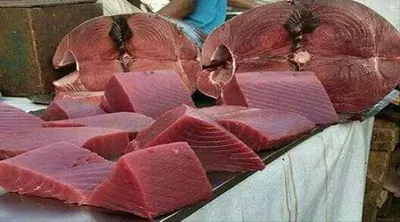 اخبار اليمن الان صدمة أسواق كيلو الثمد للرقابة اخبار اليمن الان الحدث اليوم عاجل