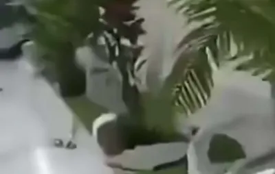 اخبار اليمن الان عادل الحسني فضيحة جديدة الليلة اخبار اليمن الان الحدث اليوم عاجل