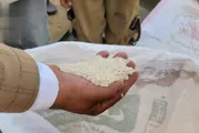 صحيفة الثورة صنعاء اخبار اليمن الان تدشين الأرز المغربة والإنتاج يتجاوز اخبار اليمن الان الحدث اليوم عاجل صحيفة الثورة صنعاء