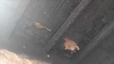 اخبار اليمن الان إحتراق منزل صحفية متفحما ورمادا اخبار اليمن الان الحدث اليوم عاجل