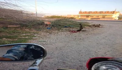 اخبار اليمن الان تفاصيل جريمة قتل مروعة حضرموت اخبار اليمن الان الحدث اليوم عاجل