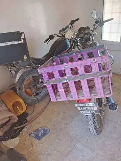 اخبار اليمن الان دوعن بسارق محترف للدراجات النارية اخبار اليمن الان الحدث اليوم عاجل