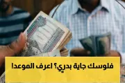 اخبار اليمن الان الحدث اليوم عاجل يمن برس