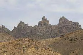 اخبار اليمن الان مواطن ينجو مصارعة مفترس خولان اخبار اليمن الان الحدث اليوم عاجل