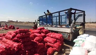 اخبار اليمن الان التخطيط الزراعي يتسبب خسائر لمزارعي اخبار اليمن الان الحدث اليوم عاجل