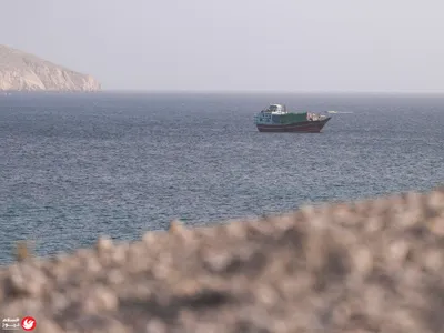 اخبار اليمن الان يقتحم اليابان محتويات الثلاجة الأولى اخبار اليمن الان الحدث اليوم عاجل