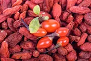 عدن تايم اخبار اليمن الان عصير طبيعي لتطهير وتنقية الكبد اخبار اليمن الان الحدث اليوم عاجل عدن تايم