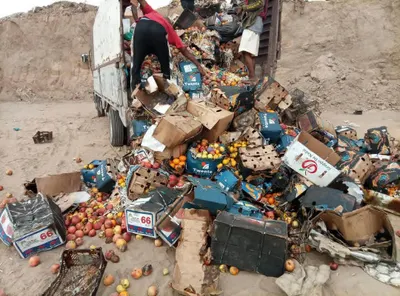 اخبار اليمن الان بالمنصورة الفواكه الفاسدة الصالحة للاستهلاك اخبار اليمن الان الحدث اليوم عاجل